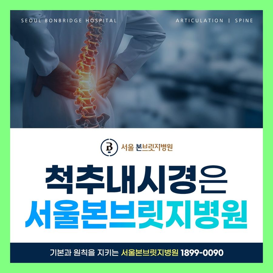 척추내시경 서울본브릿지병원 척추센터 안내