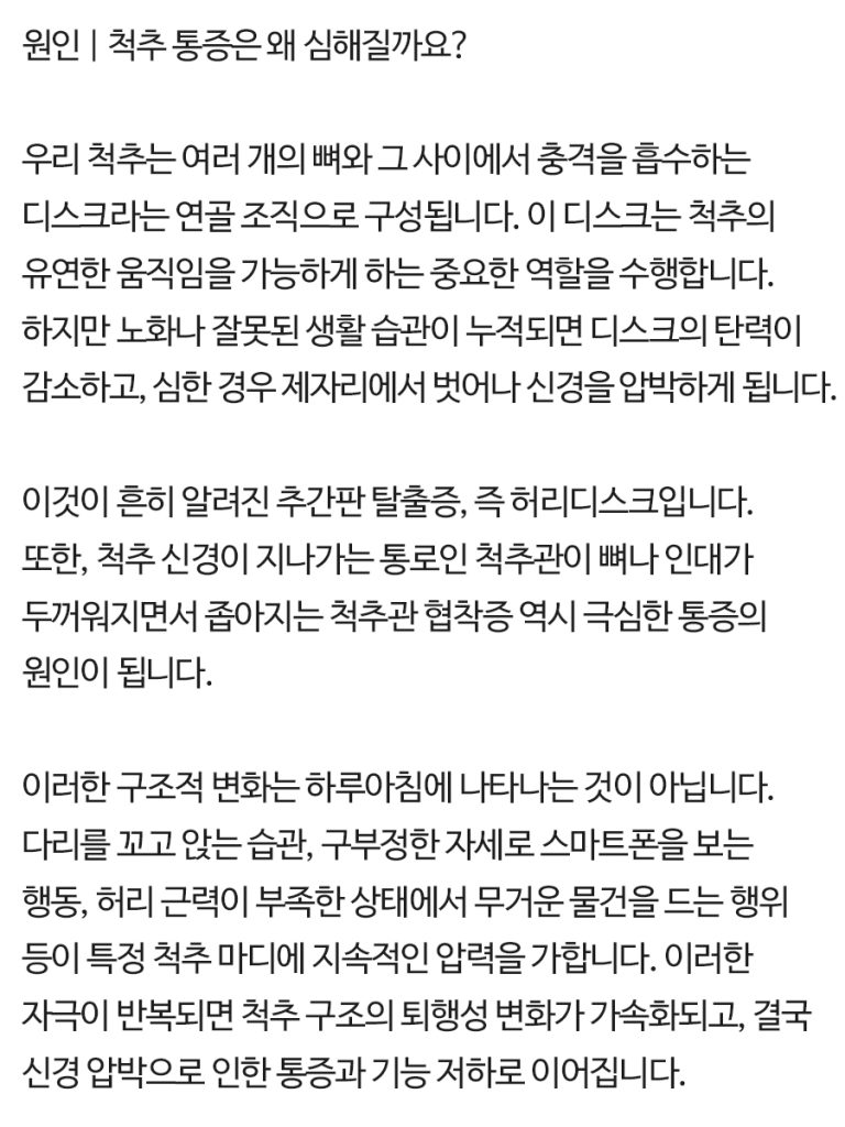 척추내시경 (3)